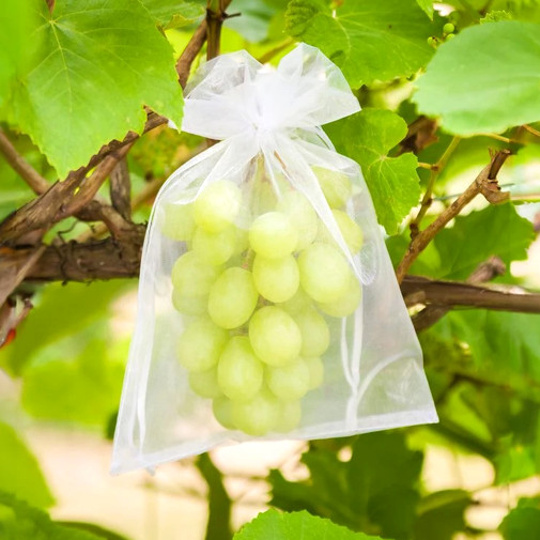 Protección efectiva de uvas