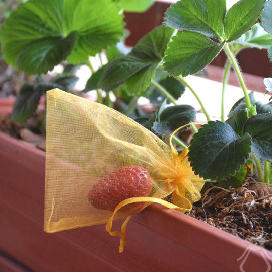 Reinigen van organza zakjes