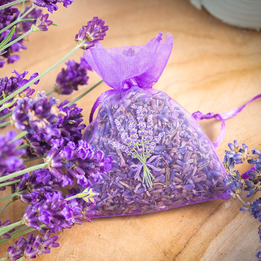 Organzasäckchen gefüllt mit Lavendel