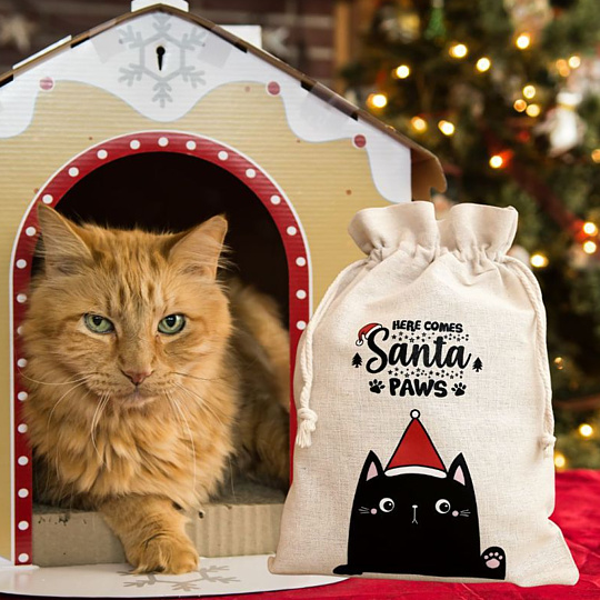 Printed cat gift bag